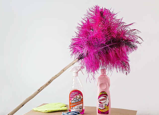 peří duster